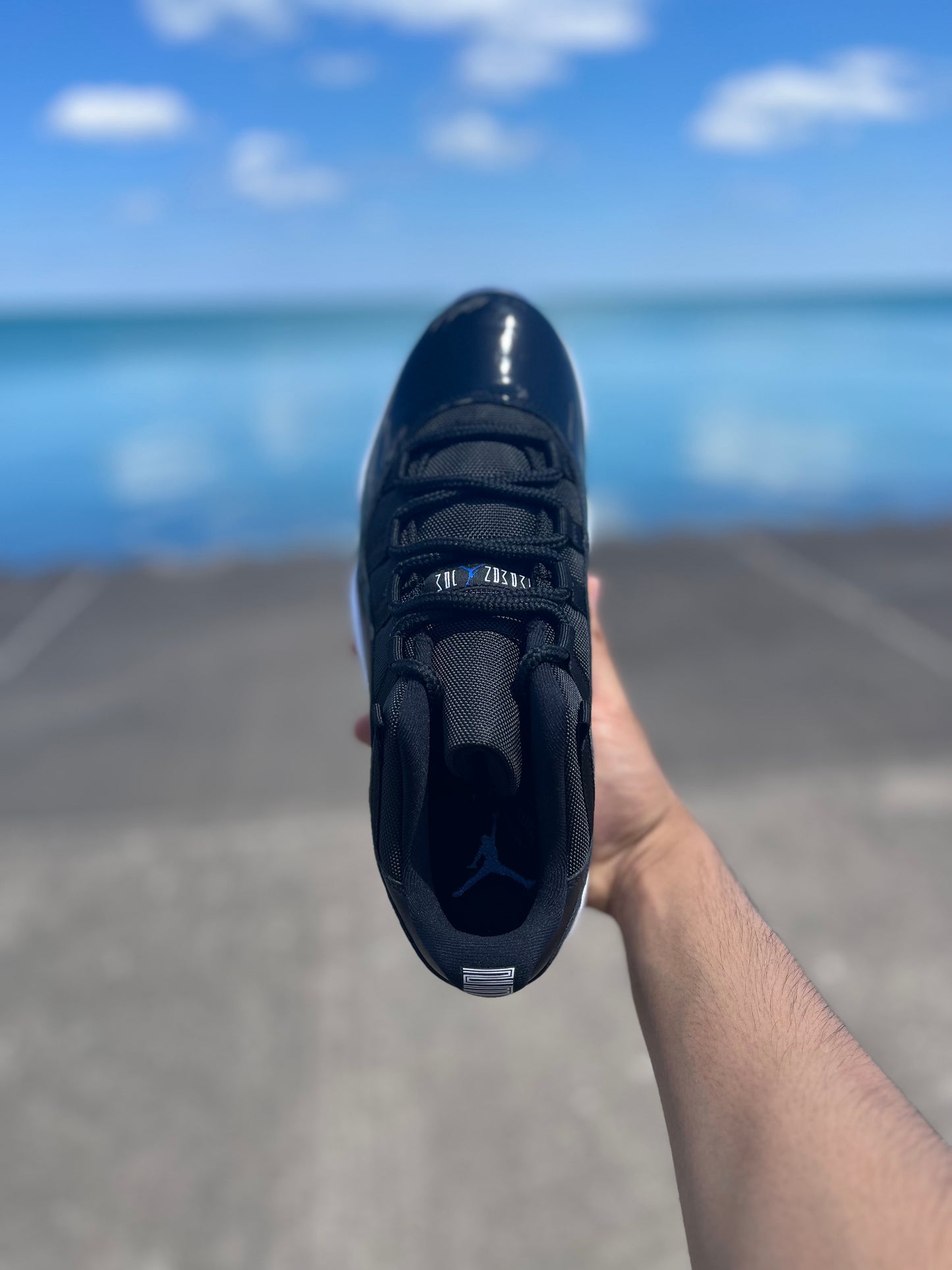 Jordan 11 Retro Space Jam Low