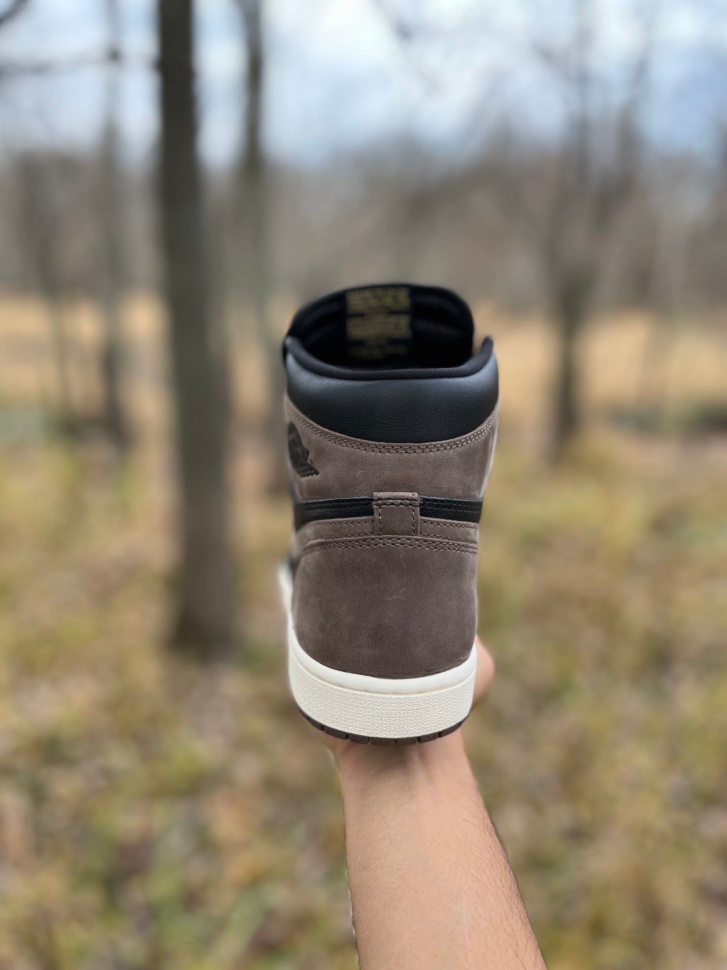 Jordan 1 Retro High OG Palomino