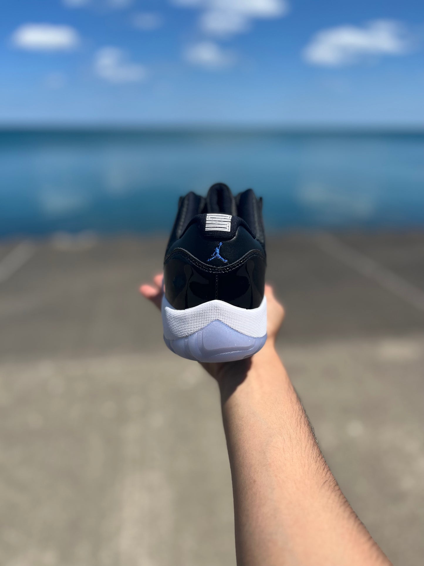 Jordan 11 Retro Space Jam Low