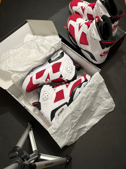 Jordan 6 Retro Carmine (2021)